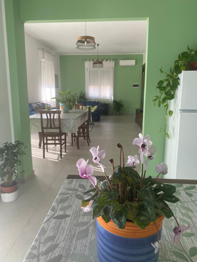 Ferienwohnung La Casa Verde Cinisi Exterior foto